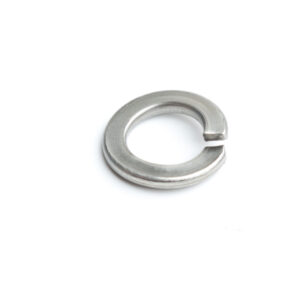 M12 Spring Washer S/S